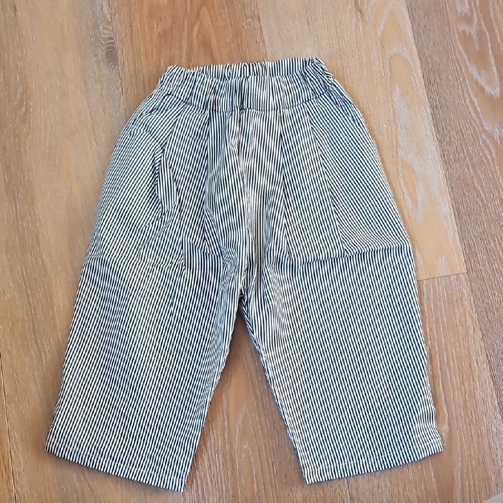 Ziggy Zaza Casper Pant Navy Stripe - Picture 2 of 3